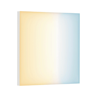 Paulmann WallCeilingVelora LED     79825 