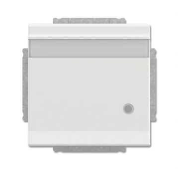 BJ SCHUKO                  20 EUKNBL-884 