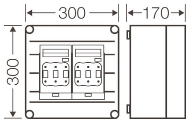 HENS Mi-NH-                      Mi 6266 
