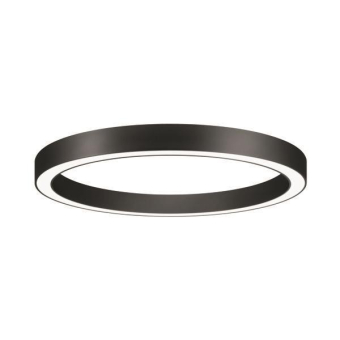 Brumberg LED-Anbau-Ringl.       13560183 