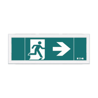 CEAG FlexiTech Ausg. Wand 12m FT1EW4ICGS 