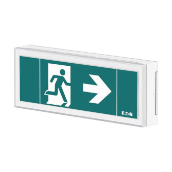 CEAG FlexiTech Ausg. Wand 12m FT1EW4ICGS 