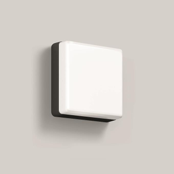 BEGA Wandleuchte Grafit   3000 K 24893K3 