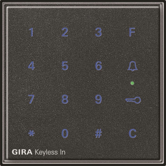 GIRA 260567 Keyless In Codetastatur 