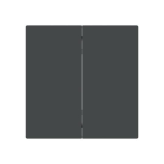 BJ Wippe 2-fach Smart       6736 FoH-45M 