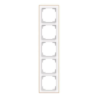 BJ Rahmen 5-fach m.Dekorring   1725-441M 