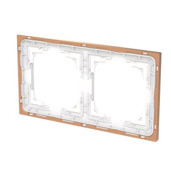 BJ Rahmen 2-fach m.Dekorring   1722-441M 