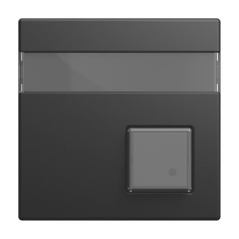 BJ Zentralscheibe 1-fach     1571 CN-915 