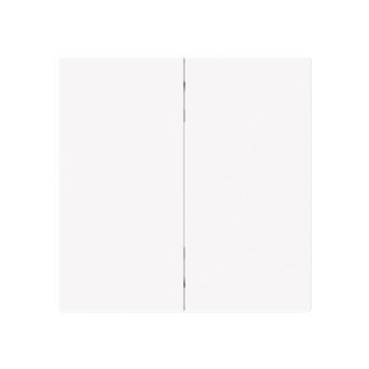 BJ Wippe 2-fach Smart       6736 FoH-44G 