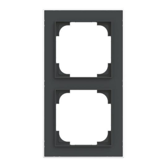 BJ Rahmen 2-fach m.Dekorring   1722-456M 