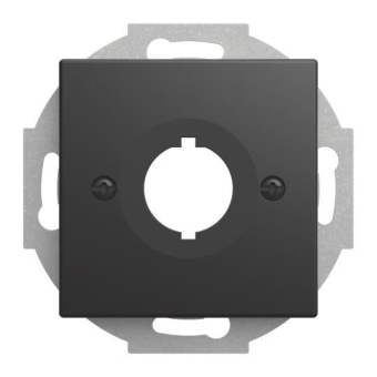 BJ Zentralscheibe m.Tragring    2534-915 