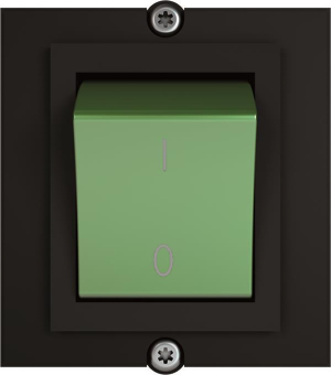 Bachmann Rahmen 1xSchalter 2pol  917.135 