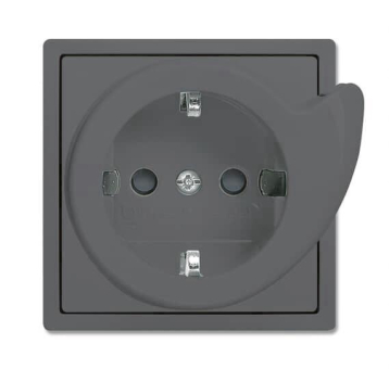 BJ Busch-Servicesteckdose   20 EUCBDR-81 