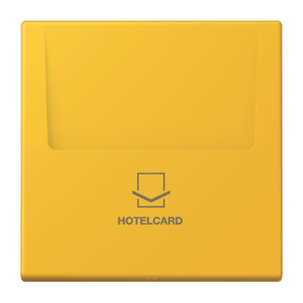 Jung Hotelcard-Schalter  LC 590 CARD 263 