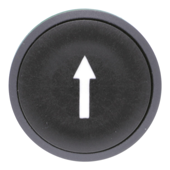 GS Drucktaster                  ZB5AA335 