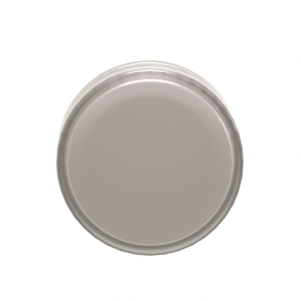 GS Leuchtmelder weiss           ZB4BV013 