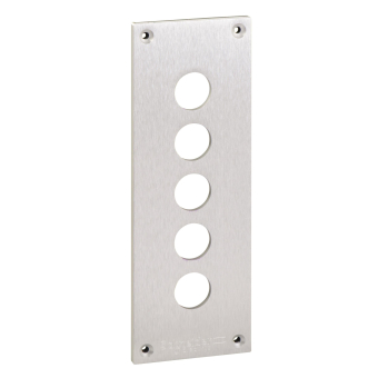 Schneider Einbauplatte 72x204mm  XAPE305 