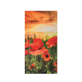 Vitramo Infrarotheizung Wand VL-A14078-B 