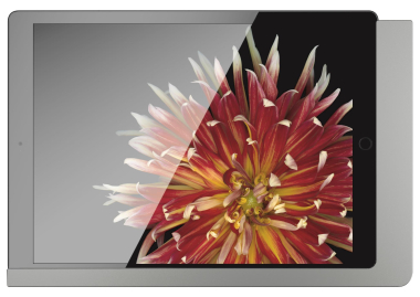 viveroo 510161LAN iPad Wandhalterung 