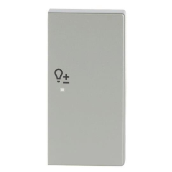 BJ Wippe/R 2f Dimmer         6234-22-866 
