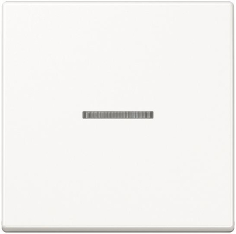 Jung Wippe f.Taster KO         A101KO5WW 