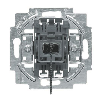 BJ Zugtaster 1-polig      2020/10 US-101 