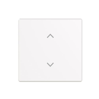 BJ Wippe 1-fach m.Symbol      6735-11-84 