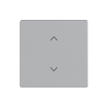 BJ Wippe 1-fach m.Symbol      6735-11-83 