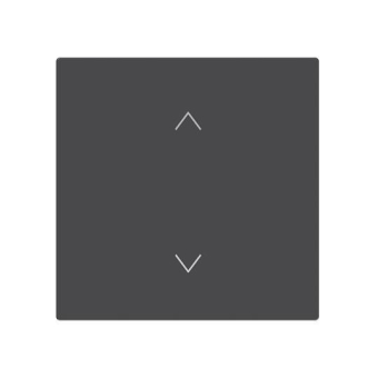 BJ Wippe 1-fach m.Symbol     6735-11-45M 