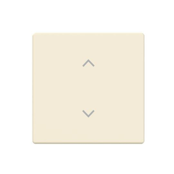 BJ Wippe 1-fach m.Symbol      6735-11-82 