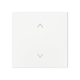 BJ Wippe 1-fach m.Symbol     6735-11-44G 