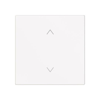 BJ Wippe 1-fach m.Symbol     6735-11-44M 