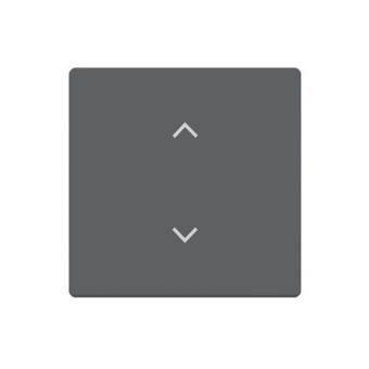 BJ Wippe 1-fach m.Symbol      6735-11-81 