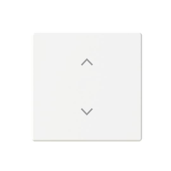 BJ Wippe 1-fach m.Symbol     6735-11-884 