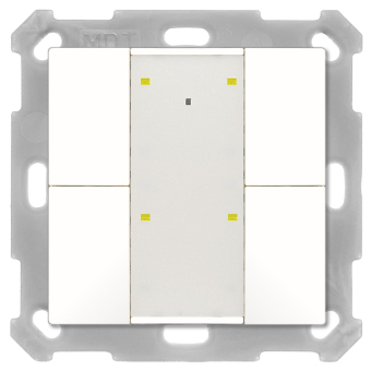 MDT BE-TA55P4.G2 Taster Plus 55 Plus 4-f 