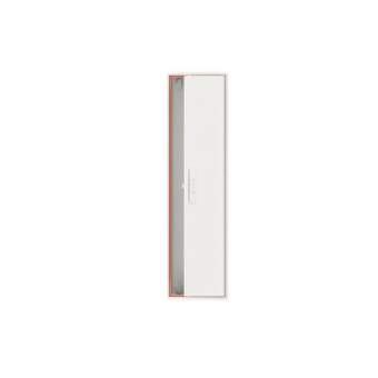 Striebel Wandschrank leer 1FB       A17D 