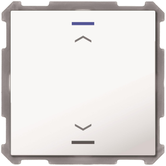 MDT BE-TAL6301.A1 Taster Light 63 1fach 