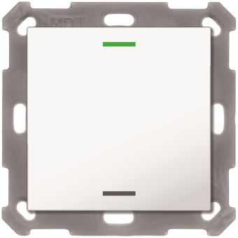 MDT BE-TAL5501.01 Taster Light 55 1fach 