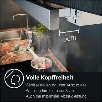 AEG DPS 5650 AM Flachschirmhaube 