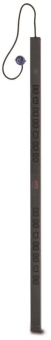 APC Basic Rack PDU                AP7551 