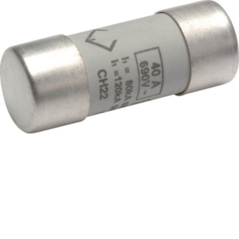 Hager Sicherungseinsatz 22x58mm   LF540G 