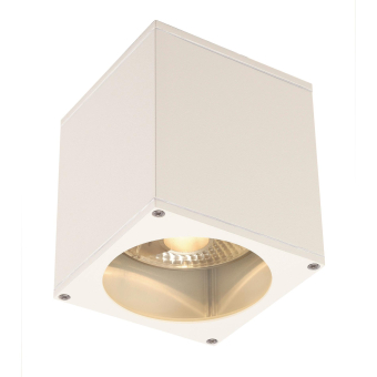 SLV BIG THEO CEILING OUT          229551 