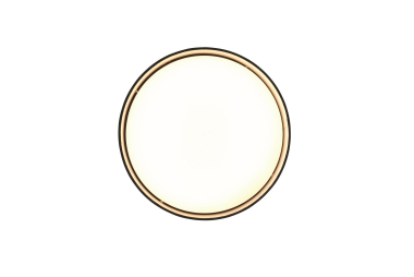 Trio LED-DL LOCARNO, 12W,      R64191102 