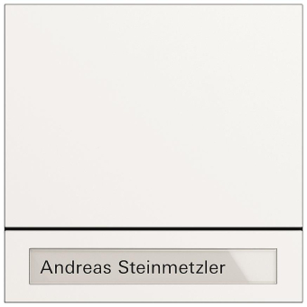 GIRA 5531902 Ruftastenmodul 1fach 