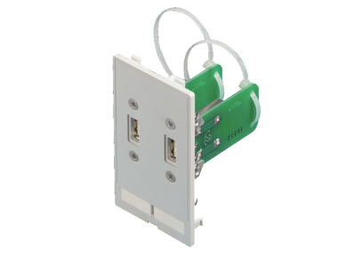 Rittal Schnittstellen Einsatz SZ 2482540 