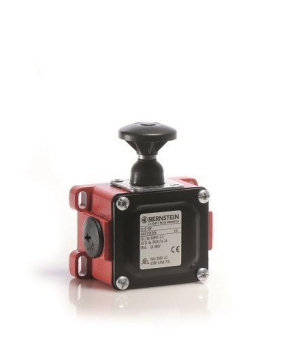 Bernstein 6041113006 D-U1 PW     D-U1 PW 