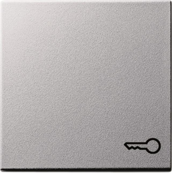 GIRA 028726 Wippe Symbol Tür System 55 