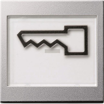 GIRA 021826 Wippe BSF+Symbol Tür groß 