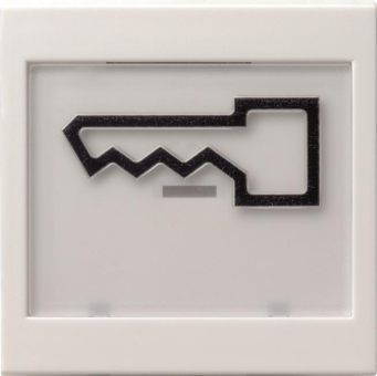 GIRA 021827 Wippe BSF+Symbol Tür groß 