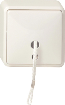 GIRA 014613 Zugschalter Aus-Wechsel AP 